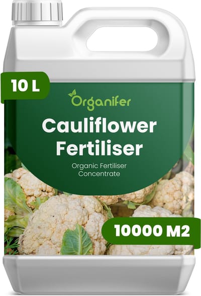 Vloeibare Meststof Voor Bloemkool 10 L Voor 10000 M2 - Npk 2-1-8 - Kruisbloemig Gewas - Sterke Wortelontwikkeling - Uniforme Kropgrootte - Bladomsluiting - Stressbestendig - Brassica-Groenten - Organifer