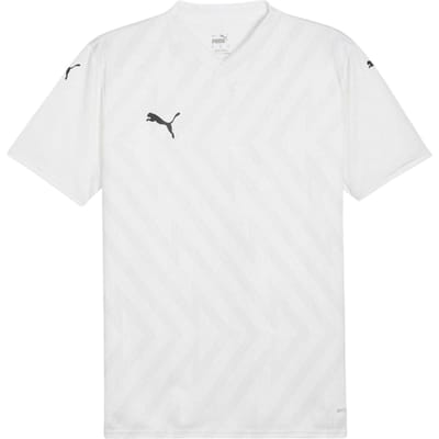 Puma Heren Teamglory Jersey T-Shirt (Wit/Zwart/Grijs)