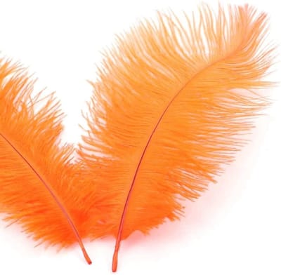 Natuurlijke Struisvogelveren 10 Stuks 15 - 20 cm voor Creatieve Projecten, DIY Droomvangers, Decoratie voor Feesten en Bruiloften