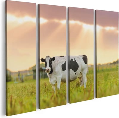 Artaza Canvas Schilderij Vierluik Zwart Wit Koe In De Wei Bij Zonsopkomst - 80x60 - Foto Op Canvas - Canvas Print