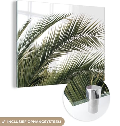MuchoWow® Glasschilderij 160x120 cm - Schilderij acrylglas - Zomer - Bladeren - Tropisch - Palmblad - Foto op glas - Schilderijen
