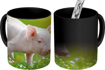 Magische Mok - Foto op Warmte Mokken - Koffiemok - Dieren - Biggetje - Varken - Magic Mok - Beker - 350 ML - Theemok