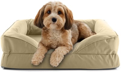 Lumaland orthopedisch hondenbed voor binnen en buiten | ergonomische hondensofa 70x60 cm – ideaal voor kleine honden | antislipbodem | vulling en hoes wasbaar | waterdichte hondenmand