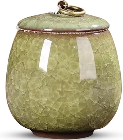 Luxe Urn 170 ML - Crematie Urn - Uniek - Voor Huisdieren of Menselijk As - Crematie As - Mini Urn - Decoratie Urn - Licht Groen