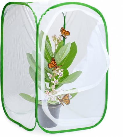 Ulisem - Vlinderkooi met Kijkvenster - Vlinderkweekset – Insecten Habitat – Opvouwbaar Kweeknet - 40*40*60cm