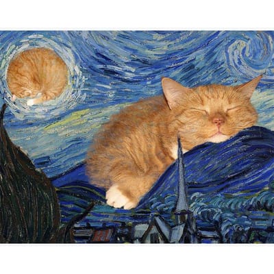 Starry Night Van Gogh Kunst Kat Volledige Boor Diamant Schilderij Borduurwerk Volledige Ronde Dier Kruissteek 20X30CM beige
