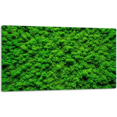 TMK ArtDeko - Snijplank - Glas - 52x30 cm - Antislip