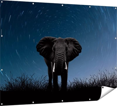 Gards Tuinposter Olifant Omringd met Sterren - 160x120 cm - Tuindoek - Tuindecoratie - Wanddecoratie buiten - Tuinschilderij