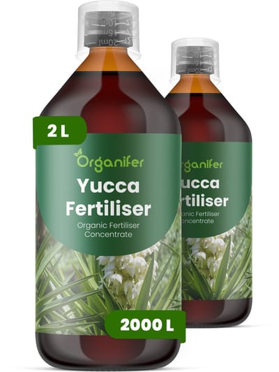 Vloeibare Meststof Voor Yucca - 2X1 L Voor 2000 L - Npk 3-4-3 - Versterkt De Natuurlijke Weerbaarheid Van Planten Tegen Droogte En Hitte - Geeft Een Prachtige Bladglans Voor Een Esthetisch Aantrekkelijk Resultaat - Jaarrond Toepasbaar - Organifer