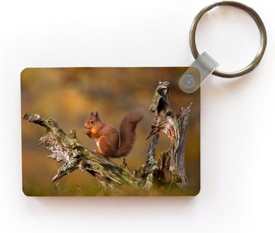 Sleutelhanger - Rode eekhoorn in de herfst - Uitdeelcadeautjes - Plastic
