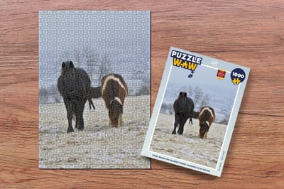 Puzzel Paarden - Sneeuw - Wit - Legpuzzel - Puzzel 1000 stukjes volwassenen