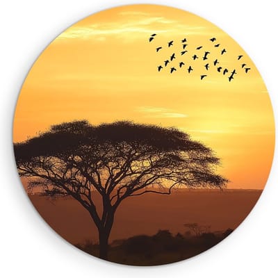 Saammp Muurcirkel Hout - Vogel bij boom - Dieren - Natuur - Ø 90 - Wandcirkel - Wanddecoratie Cirkel - muurdecoratie Woonkamer - Slaapkamer decoratie - Rond Schilderij