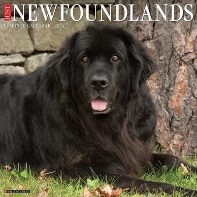 Newfoundlander Kalender 2026