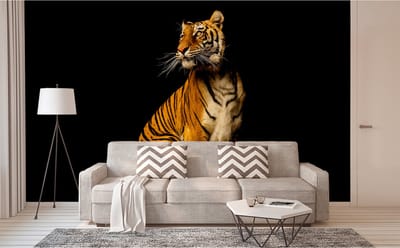 Fotobehang Tiger DD114664 A.S. Création XXL 5 | 3D Fotobehang op maat