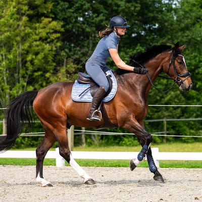 Qhp Zadeldek Aubree Misty Blue - VZ Full | Zadeldekje paard
