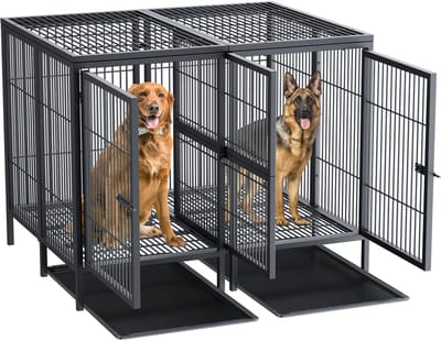 BingoPaw Heavy Duty hondenbench voor 2 middelgrote tot grote honden - Extra grote bench voor huisdieren - met verwijderbare metalen scheidingswand - Sterke, onverwoestbare metalen dubbele hondenbench - 130 x 100 x 100 cm