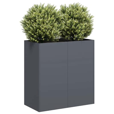 vidaXL - Plantenbak - 80x40x80 - cm - koudgewalst - staal - antracietkleurig