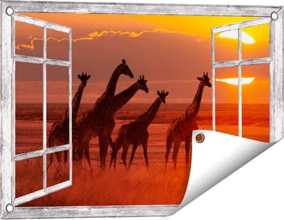 Gards Tuinposter Doorkijk Giraffe Kudde bij Zonsondergang - 60x40 cm - Tuindoek - Tuindecoratie - Wanddecoratie buiten - Tuinschilderij
