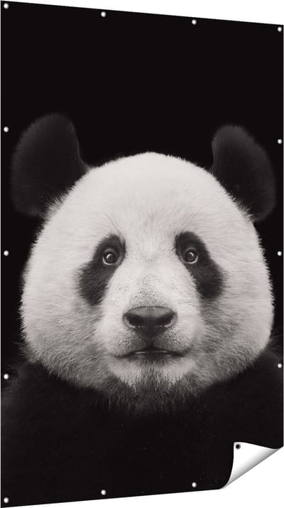 Gards Tuinposter Panda - Pandakop - 120x180 cm - Tuindoek - Tuindecoratie - Wanddecoratie buiten - Tuinschilderij
