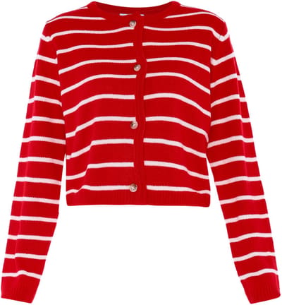 usha Vest