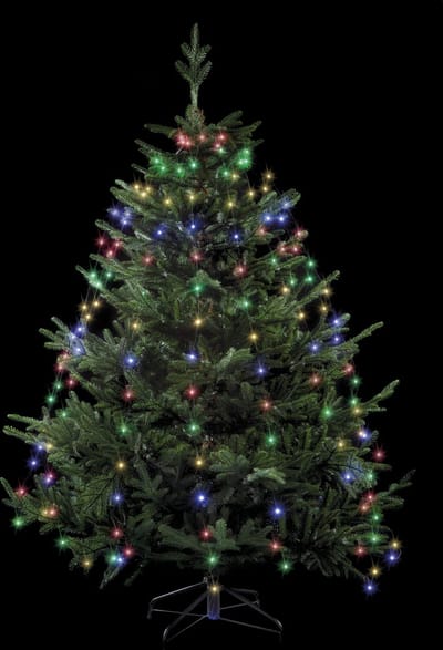 Feeric Lights & Christmas Kerstverlichting - cascade - 232 leds - gekleurd - H220 cm
