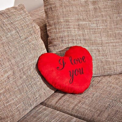 Hartkussen rood "I love you"  - valentijn - geschenk - i love you - kado - voor haar