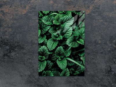 TMK ArtDeko Serie - Glazen Snijplank - 35x52 cm - Veelkleurig - Geschikt voor Verschillende Fornuizen