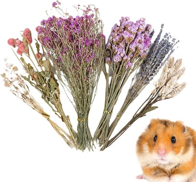 Hamster Strooisel - Natuurlijk Bodembedekking - Kooi Decoratie - Comfort Zonder Additieven - 40 x 17.6 cm - Natuurlijk