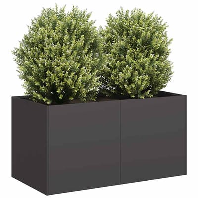vidaXL - Plantenbak - 80x40x40 - cm - koudgewalst - staal - zwart