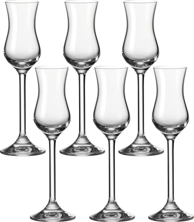 Robuuste Glazenset voor Grappa - 100 ml, 6-Delig, Vaatwasmachinebestendig en Schokbestendig