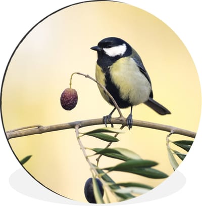 WallCircle - Wandcirkel - Muurcirkel - Vogel op een tak met een bes - Aluminium - Dibond - 30x30 cm - Binnen en Buiten