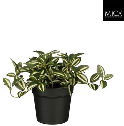 Kunstplant Mica Tradescantia in pot groen 16x16cm