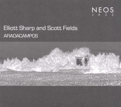 Elliott Sharp And Scott Fields - Afiadacampos (CD)