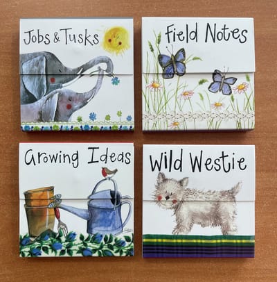 Alex Clark Mini Magnetic Notepad's - Magnetische notitieblokjes 4 stuks