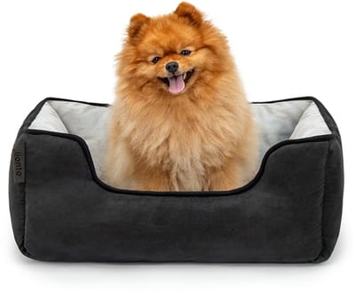 lionto Hondenbed omkeerbaar, zacht & comfortabel 60x50 cm zwart/grijs