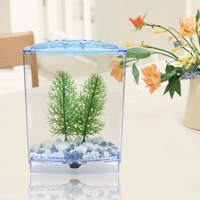 Dailygoody - Mini-aquariumtank - Waterplanten Incubator - Transparant - Hoge lichttransmissie - Voor vissen - Ideaal voor aquariumliefhebbers