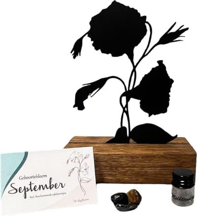 Kraamcadeaus - geboortebloem beeld- September - Dagbloem - mét tandendoosje / potje / haarlokpotje en beschermende edelsteentjes - metaal in houten sokkel - baby cadeau - babyshower cadeau