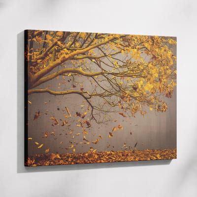 Saammp Muurcirkel Hout - Goude details - Afrikaanse Vrouw - abstract - Ø 80 - Wandcirkel - Wanddecoratie Cirkel - Muurdecoratie Woonkamer - Slaapkamer decoratie - Rond Schilderij