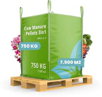 Koemestkorrels 3in1 (Bigbag 750kg, 7500m2) - Allround Organische Meststof - Koemest - Mestkorrels - Bodemverbeteraar - Gedroogde Koemestkorrels - Direct opneembare voeding - Lavameel Toevoeging - Langdurige Werking - Organifer