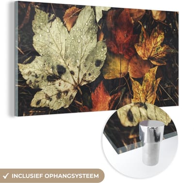 MuchoWow® Glasschilderij 40x20 cm - Schilderij acrylglas - Herfstbladeren - Herfst - Seizoenen - Natuur - Foto op glas - Schilderijen