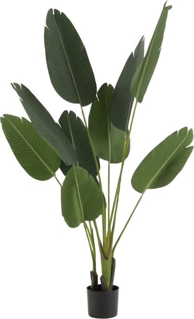 Kunstplant Strelitzia 165 cm