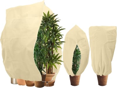 CE Agrowłókniny - Winterbeschermende Hoes - 80x100/120x180cm - Set van 3st