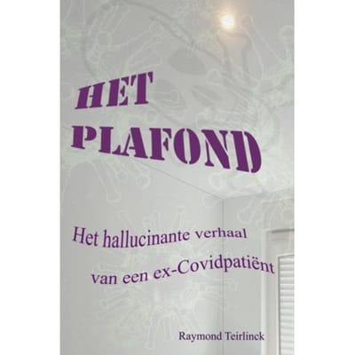 Het Plafond - Raymond Teirlinck