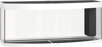Juwel Aquarium Vision 450 Led 151x61x65 cm - Aquaria - Wit