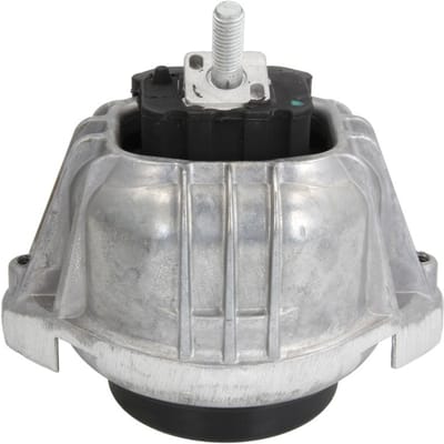 Motorsteun REINHOCH RH11-3055 links