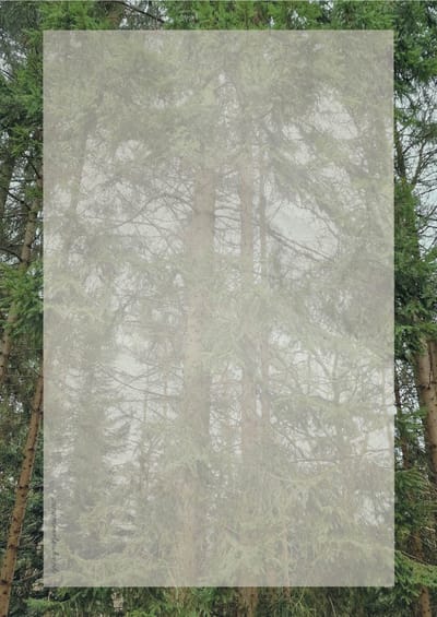 Briefpapier 24 vellen - Dennenbomen - Meer Leuks - A4 formaat - Postpapier
