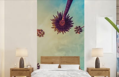 Behang - Fotobehang Palmboom - Lucht - Bomen - Zomer - Tropisch - Breedte 120 cm x hoogte 240 cm