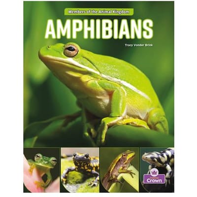 Amphibians - Tracy Vonder Brink