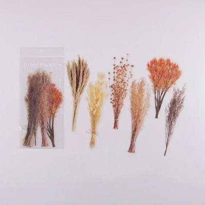 6 stks/partij Vintage Gedroogde Bloem PET Sticker Decoratieve Dagboek Craft Scrapbook Planner Journal Esthetische Briefpapier