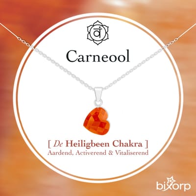 Bixorp Carneool Hartje Ketting - S925 Zilver + Edelsteen Hanger - Spirituele Chakra Ketting met Cadeau Kaartje - 45cm + 5cm verstelbaar